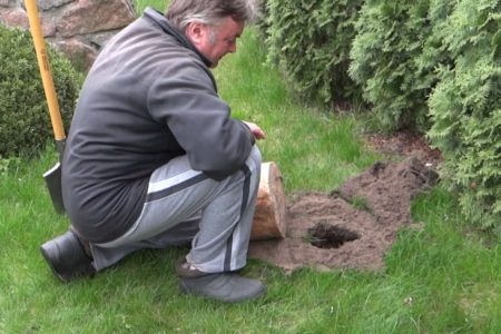 уничтожение кротов