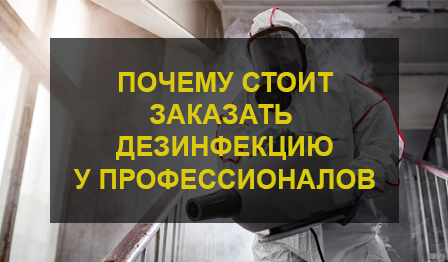 Дезинфекция