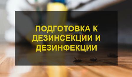 Уничтожение тараканов